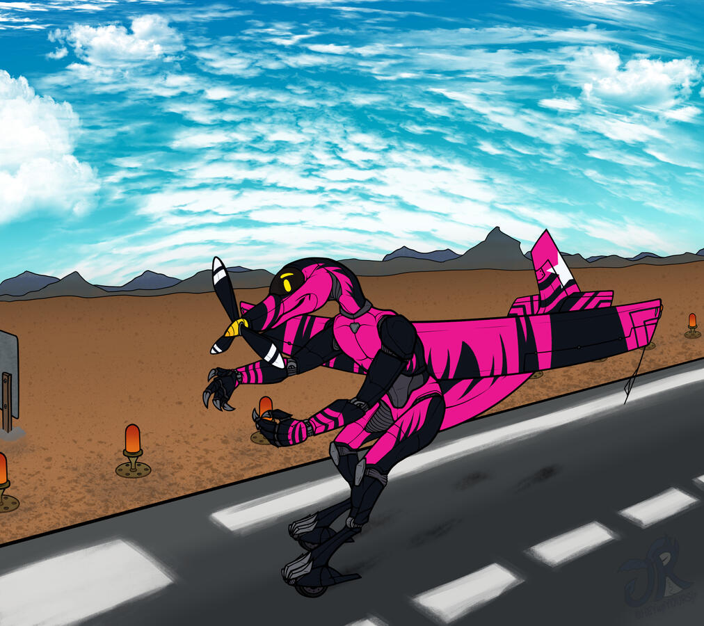 Ronny, runway BG Ronny, runway BG